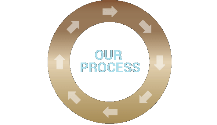 Our 8 Step Process